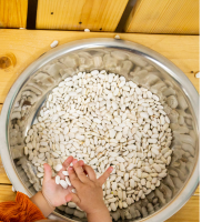 Finding objects in beans Finding Objects in Beans