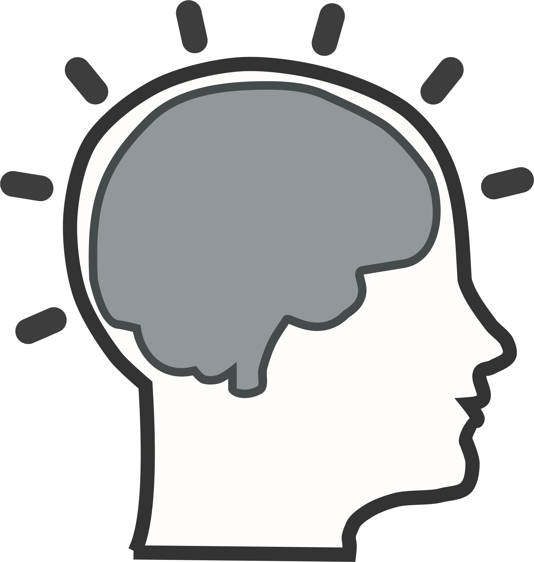 brain pic