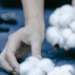 Touching cotton balls Cotton balls for sensation training