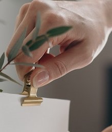 Pinch binder clip Pinch Strengthening