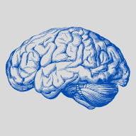 brain favicon